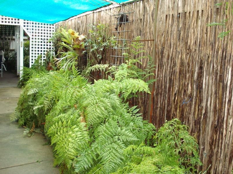 2 Laidlaw Street, Maryborough VIC 3465