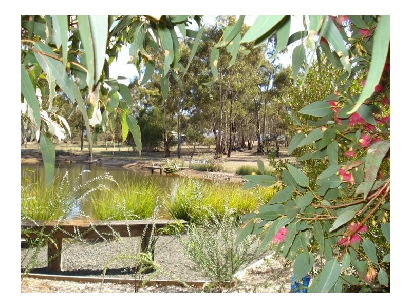 33 Menzies Drive, DAISY HILL, Maryborough VIC 3465