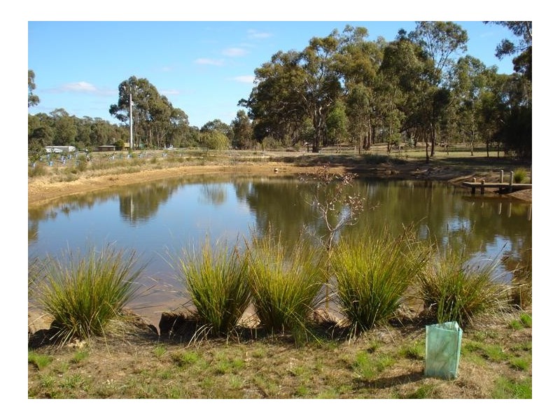 33 Menzies Drive, DAISY HILL, Maryborough VIC 3465