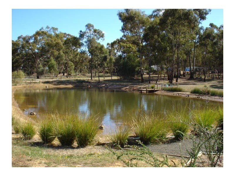 33 Menzies Drive, DAISY HILL, Maryborough VIC 3465