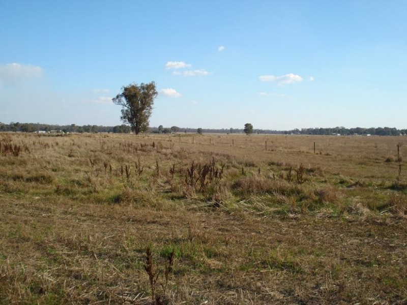 377 Carisbrook – Betley Road BETLEY, Maryborough VIC 3465