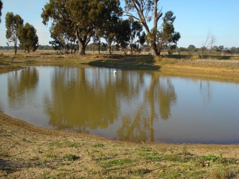 377 Carisbrook – Betley Road BETLEY, Maryborough VIC 3465