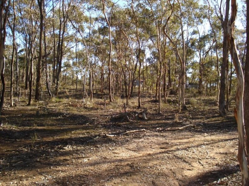 21 Lyle Lead Road, Maryborough VIC 3465