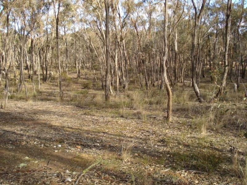 21 Lyle Lead Road, Maryborough VIC 3465