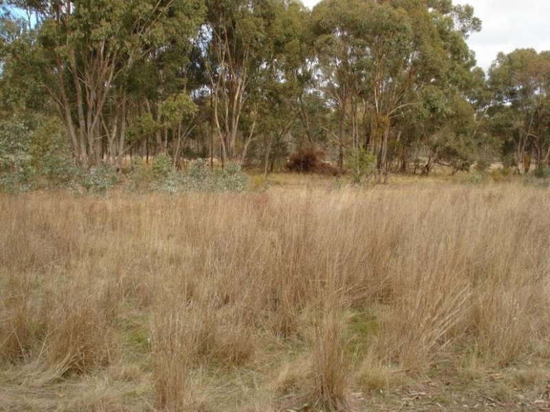 C/A 18 Crown Allotment 18 Parish of Maryborough, Maryborough VIC 3465