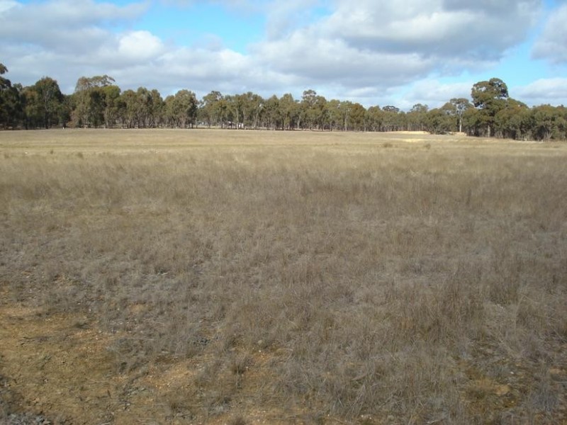 Lot 29 Tarnagulla Laanecoorie Road, Laanecoorie VIC 3463