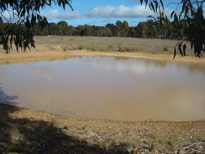 Lot 29 Tarnagulla Laanecoorie Road, Laanecoorie VIC 3463