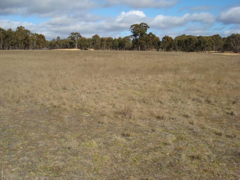 Lot 29 Tarnagulla Laanecoorie Road, Laanecoorie VIC 3463