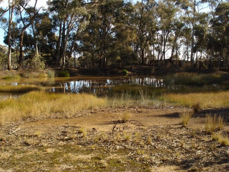 379 Moonlight Road MOONLIGHT FLAT, Maryborough VIC 3465