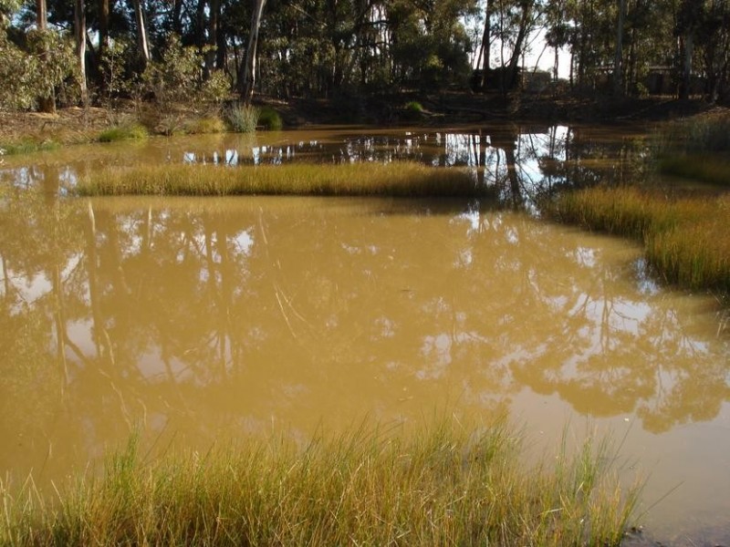 379 Moonlight Road MOONLIGHT FLAT, Maryborough VIC 3465