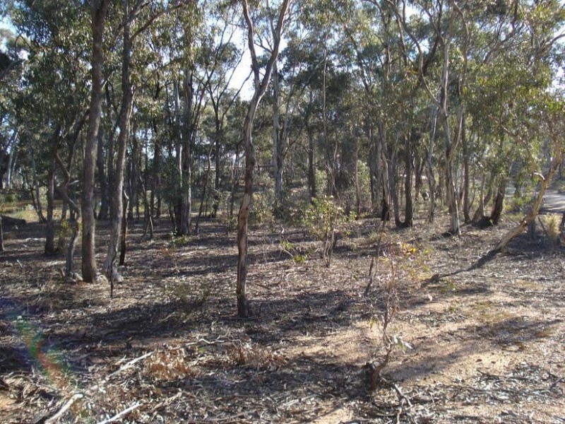 379 Moonlight Road MOONLIGHT FLAT, Maryborough VIC 3465