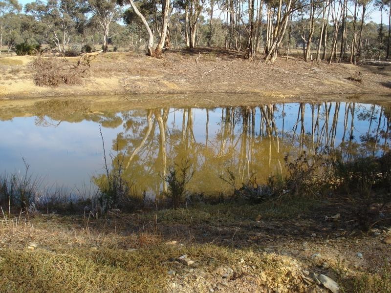 134 Queens Birthday Mine Road GOLDSBOROUGH, Dunolly VIC 3472
