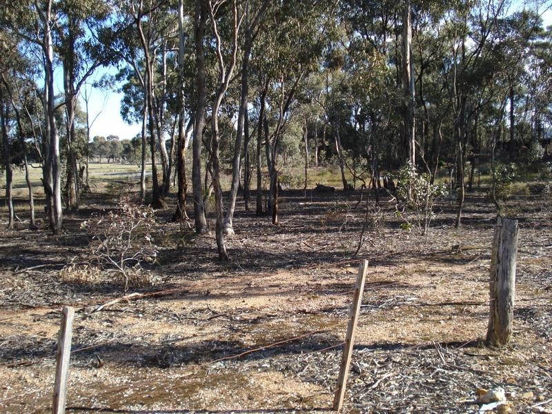 379 Moonlight Road MOONLIGHT FLAT, Maryborough VIC 3465