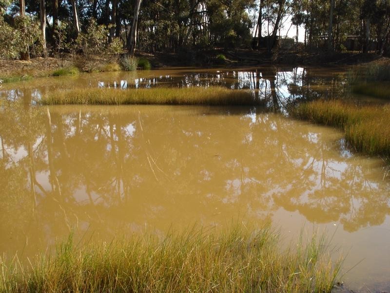 379 Moonlight Road MOONLIGHT FLAT, Maryborough VIC 3465