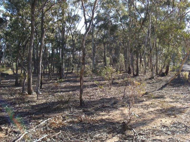 379 Moonlight Road MOONLIGHT FLAT, Maryborough VIC 3465