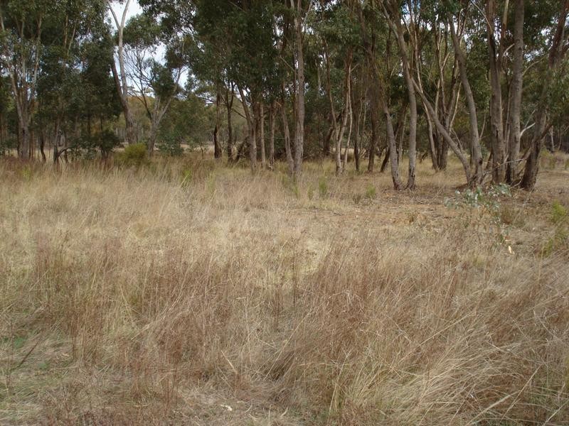 C/A18 Crown Allotment 18 Parish of Maryborough, Maryborough VIC 3465