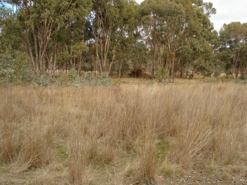 C/A18 Crown Allotment 18 Parish of Maryborough, Maryborough VIC 3465