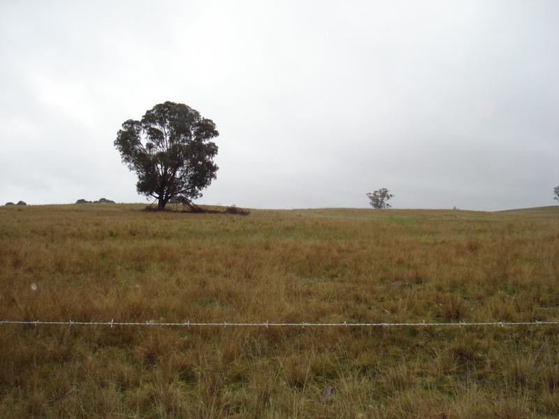 Lot 1 Dunolly Road, Emu VIC 3475
