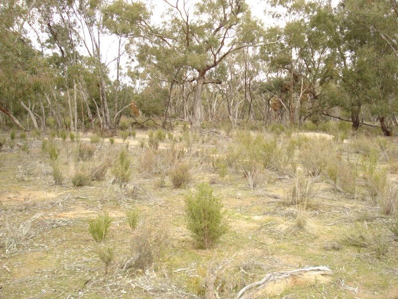 268 Puzzle Flat Road, Bealiba VIC 3475