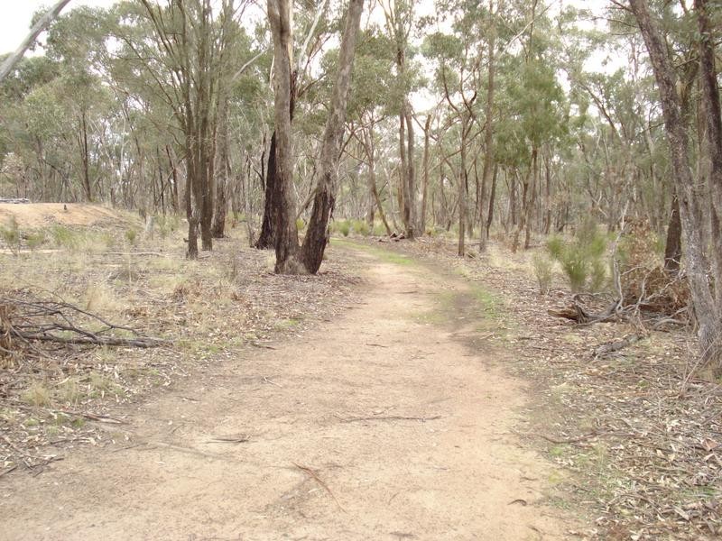 268 Puzzle Flat Road, Bealiba VIC 3475