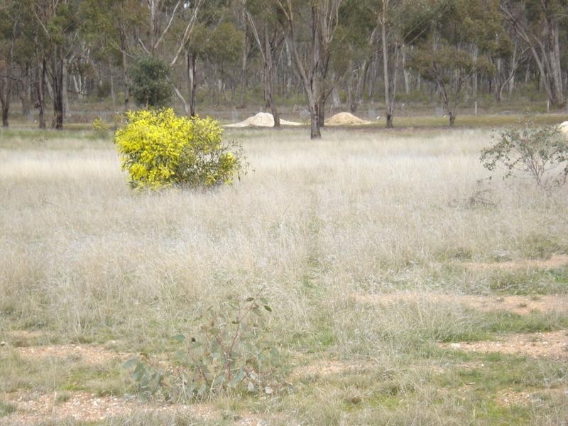 1344 Maryborough Dunolly Road BET BET, Dunolly VIC 3472