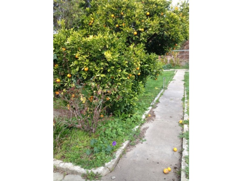 86 Napier Street, Maryborough VIC 3465