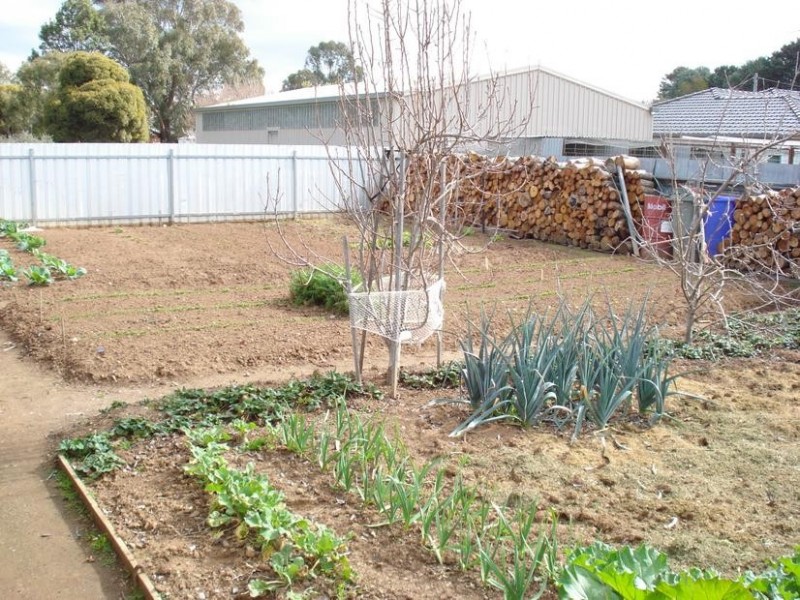 15 McLachlan Street, Carisbrook VIC 3464