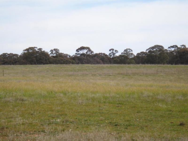 Carisbrook-Eddington Road, Carisbrook VIC 3464