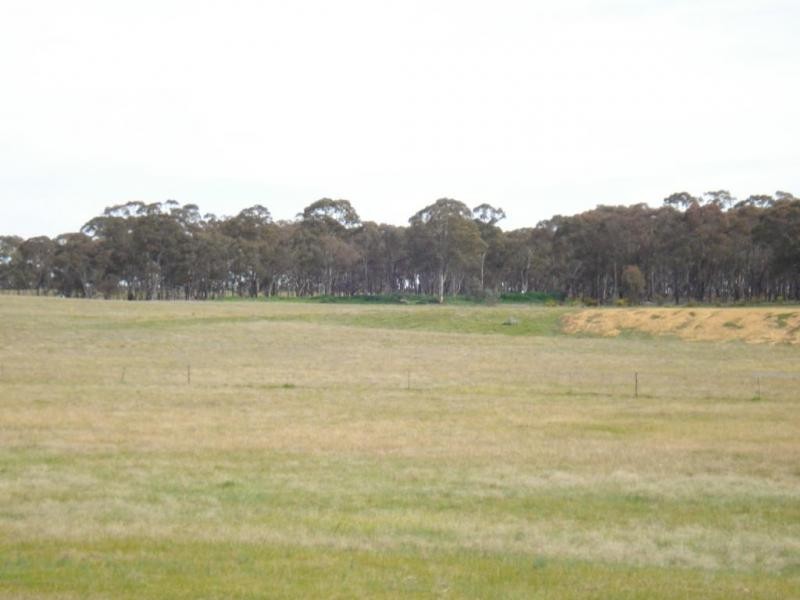 Carisbrook-Eddington Road, Carisbrook VIC 3464