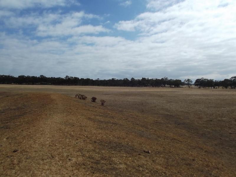 Carisbrook-Eddington Road, Carisbrook VIC 3464