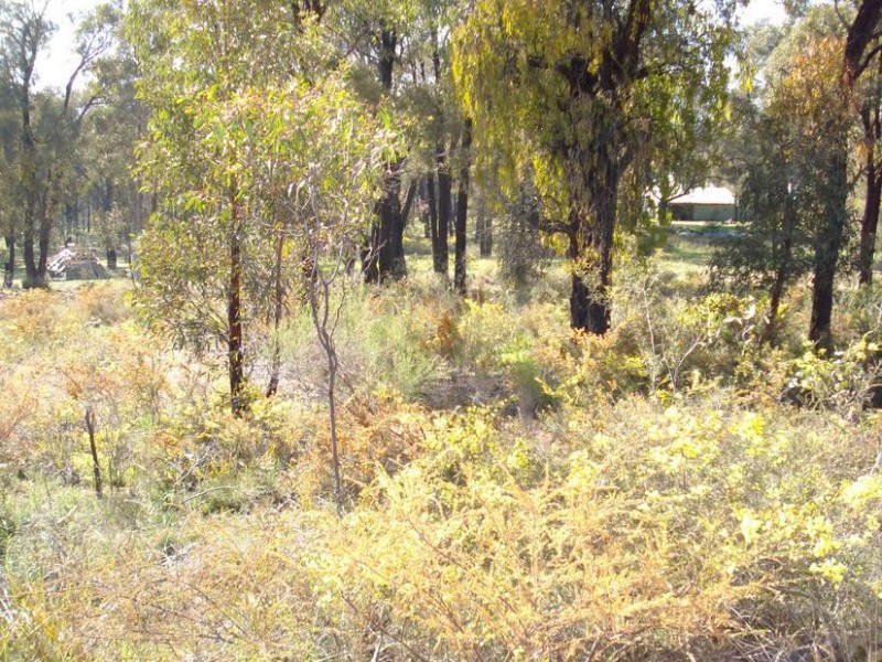 Lot 5,  Mimosa Court, Maryborough VIC 3465
