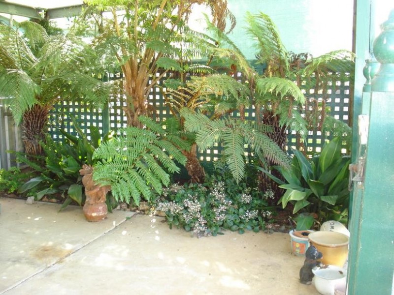 4 Napier Street, Maryborough VIC 3465