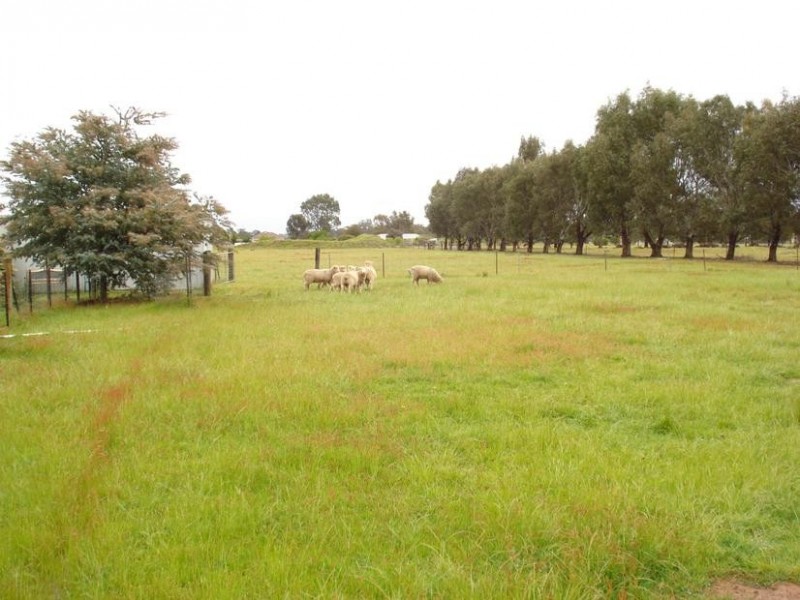 1115 Maryborough-Dunolly Road BET BET, Maryborough VIC 3465