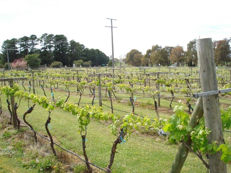 85 Simson Street, CARISBROOK, Maryborough VIC 3465