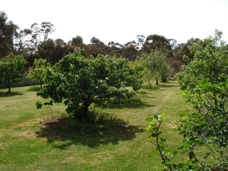 368 Dooleys Road, Maryborough VIC 3465