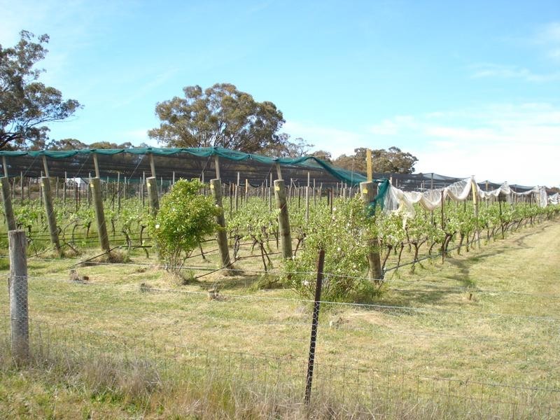 368 Dooleys Road, Maryborough VIC 3465