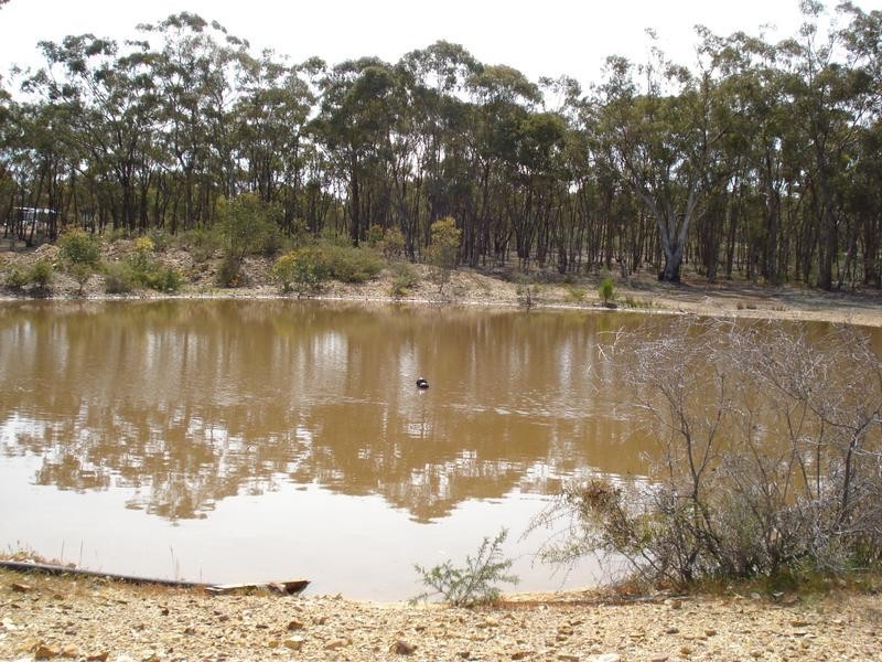 368 Dooleys Road, Maryborough VIC 3465