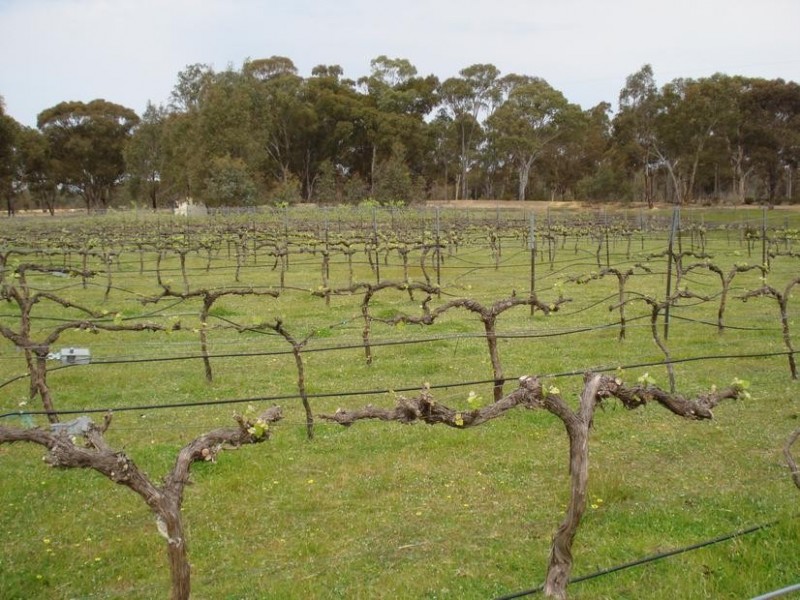 55 Collings Road, AMHERST, Talbot VIC 3371