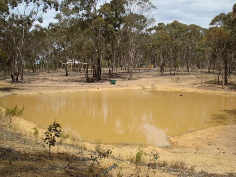 523 Maryborough – Dunolly Road Havelock, Maryborough VIC 3465