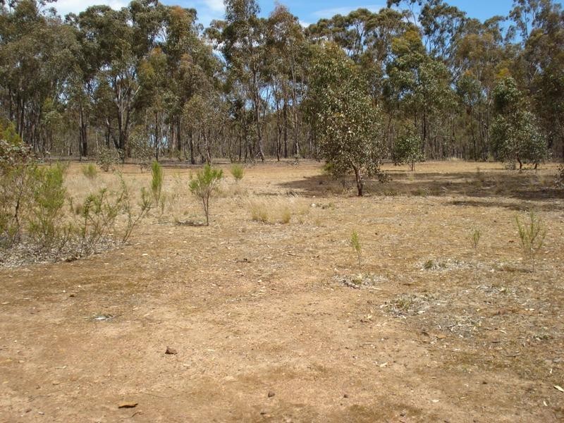 523 Maryborough – Dunolly Road Havelock, Maryborough VIC 3465