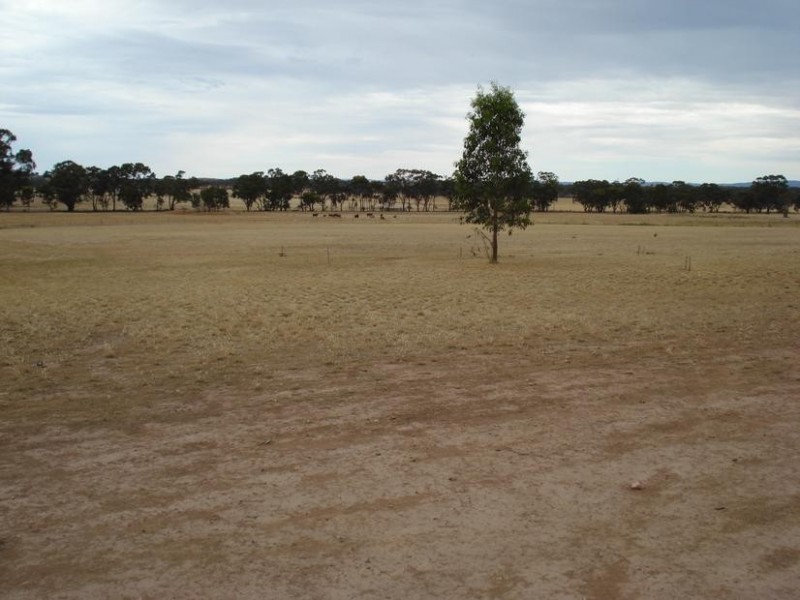 495 Ponderosa Road, Bealiba VIC 3475