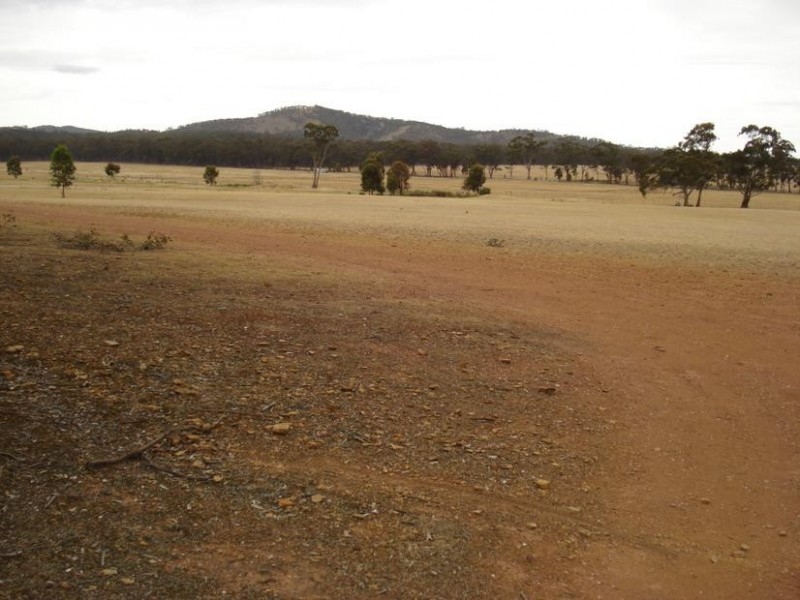 495 Ponderosa Road, Bealiba VIC 3475