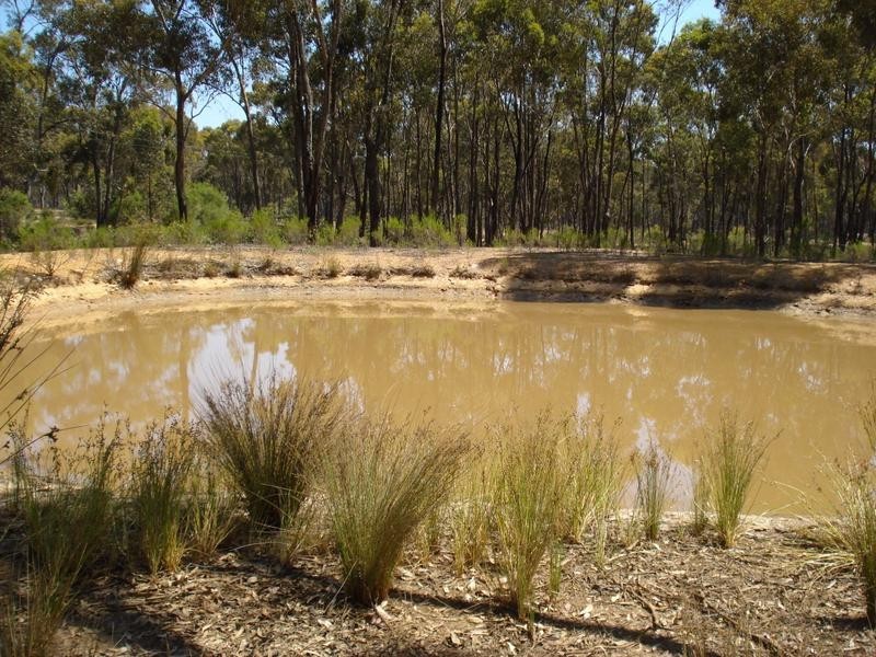 15 Ferris Lane, Talbot VIC 3371