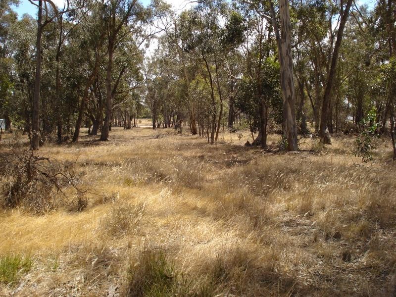 672 Carisbrook-Havelock Road, HAVELOCK, Maryborough VIC 3465