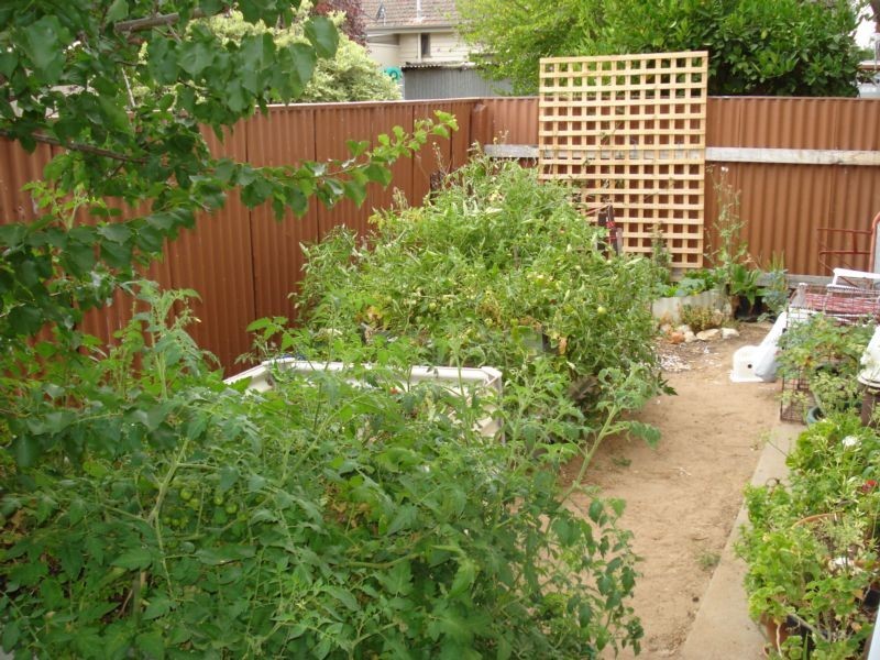 24 Brougham Street, Maryborough VIC 3465