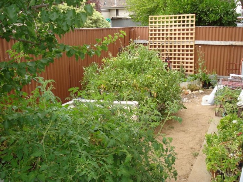 24 Brougham Street, Maryborough VIC 3465