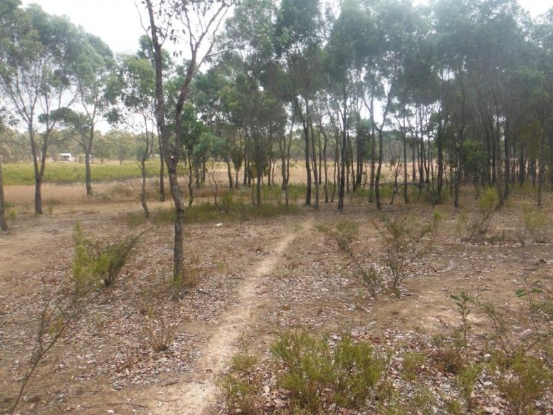 145 Scotts Road, LILLICUR, Talbot VIC 3371