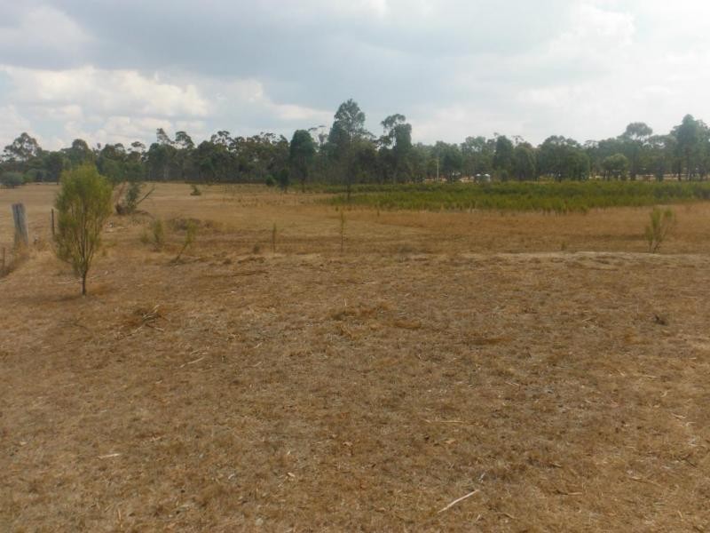 145 Scotts Road, LILLICUR, Talbot VIC 3371