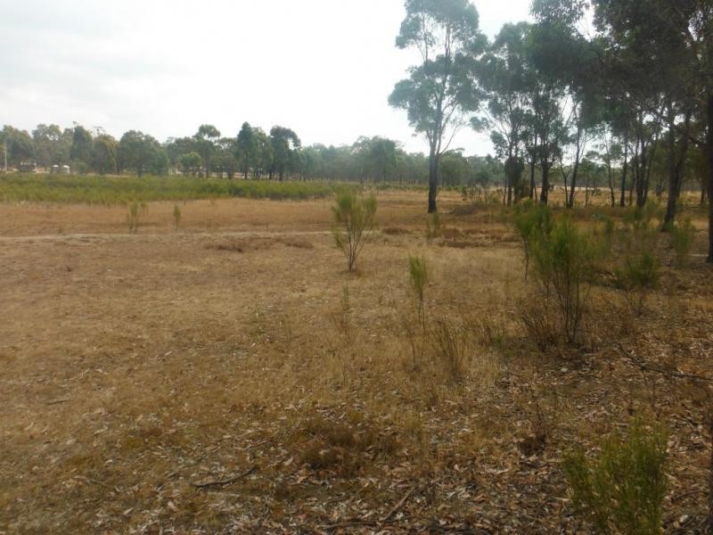 145 Scotts Road, LILLICUR, Talbot VIC 3371