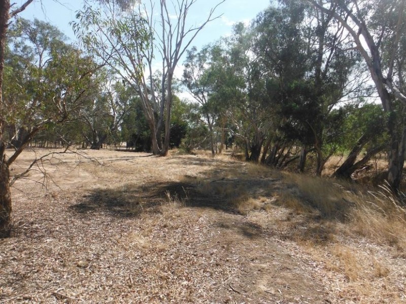 193 Dunolly-Moliagul Road, Dunolly VIC 3472